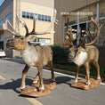 Load image into Gallery viewer, mcsdino designed animatronic caribou reindeer 
