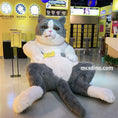 Carica l'immagine nel visualizzatore della galleria, cat museum giant cat
