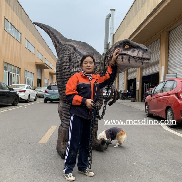 Dog Raptor Suit Raptor Dinosaur Costumes For Dogs