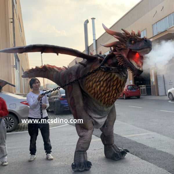 Costume de dragon cracheur de feu-DCDR011