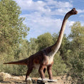 Carica l'immagine nel visualizzatore della galleria, MCSDINO 6m Tall Realistic Brachiosaurus Animatronic-MCSB004B
