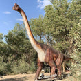Load image into Gallery viewer, MCSDINO 6m Tall Realistic Brachiosaurus Animatronic-MCSB004B
