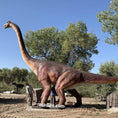 Cargar la imagen en la vista de la galería, MCSDINO 6m Tall Realistic Brachiosaurus Animatronic-MCSB004B
