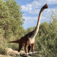 Carica l'immagine nel visualizzatore della galleria, MCSDINO Animatronic Dinosaur 6m Tall Realistic Brachiosaurus Animatronic-MCSB004B
