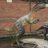 MCSDINO Animatronic Dinosaur Animatronic Carcharodontosaurus Model-MCSC001