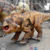 MCSDINO Animatronic Dinosaur China Simulation Animatronic Dinosaur Model Protoceratops-MCSP010