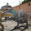 MCSDINO Animatronic Dinosaur Cryolophosaurus Animatronic Model Dino Park-MCSC009