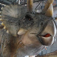 Bild in Galerie-Betrachter laden, MCSDINO Animatronic Dinosaur Dinosaur Model 32 Foot Animatronic Triceratops-MCST003
