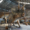 Cargar la imagen en la vista de la galería, MCSDINO Animatronic Dinosaur Dinosaur Model 32 Foot Animatronic Triceratops-MCST003

