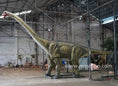 Load image into Gallery viewer, MCSDINO Animatronic Dinosaur Juvenile Diplodocus Replica Animatronic-MCSD006
