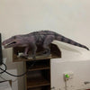 MCSDINO Animatronic Dinosaur Lifelike Protosuchus Animatronic Model-MCSP016