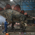 Cargar la imagen en la vista de la galería, MCSDINO Animatronic Dinosaur Llife-size Adult And Baby Stegosaurus Animatronics Models-MCSS009
