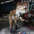 Load image into Gallery viewer, MCSDINO Animatronic Dinosaur Provide Customized Services. Made to order 5-6 weeks production Juvenile Tyrannosaurus Rex Animatronic Dinosaur-MCST002
