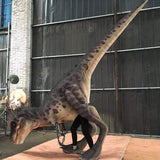 MCSDINO Creature Suits Adult T-Rex Costume County Fair-DCTR637