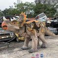 Cargar la imagen en la vista de la galería, MCSDINO Creature Suits Juvenile Triceratops Costume Dinosaur Theater Show-DCTR206

