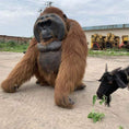 Carica l'immagine nel visualizzatore della galleria, MCSDINO Creature Suits Life-size Animatronic Orangutan Costume-DCOR001
