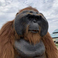 Carica l'immagine nel visualizzatore della galleria, MCSDINO Creature Suits Life-size Animatronic Orangutan Costume-DCOR001
