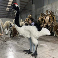 Cargar la imagen en la vista de la galería, MCSDINO Creature Suits Light-up Bird Suit Crane Costume-MCSTC004
