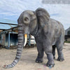 MCSDINO Creature Suits Provide Customized Services. Made to order 4-5 weeks production Realistic Walking Elephant Costume-DCEP003
