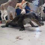 MCSDINO Creature Suits Realistic Crocodile Costume for TV Reality Show-DCCC001