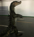 Cargar la imagen en la vista de la galería, MCSDINO Creature Suits Realistic Crocodile Costume for TV Reality Show-DCCC001
