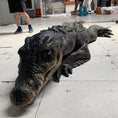 Load image into Gallery viewer, MCSDINO Creature Suits Realistic Crocodile Costume for TV Reality Show-DCCC001

