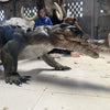 MCSDINO Creature Suits Realistic Crocodile Costume for TV Reality Show-DCCC001