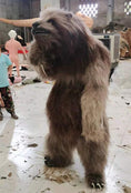 Cargar la imagen en la vista de la galería, MCSDINO Creature Suits Realistic Kung Fu Sloth Fursuit-DCSL001
