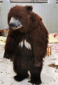 Carica l'immagine nel visualizzatore della galleria, MCSDINO Creature Suits Sun bear Furry Suit Animal Fursuit-DCBR001
