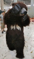 Bild in Galerie-Betrachter laden, MCSDINO Creature Suits Sun bear Furry Suit Animal Fursuit-DCBR001
