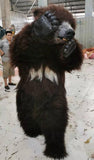 MCSDINO Creature Suits Sun bear Furry Suit Animal Fursuit-DCBR001