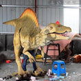Carica l'immagine nel visualizzatore della galleria, MCSDINO Creature Suits Walking Dinosaur Costume Spinosaurus-DCSP900
