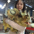Bild in Galerie-Betrachter laden, MCSDINO Egg and Puppet 80cm Realistic Triceratops Hand Puppet-BB046
