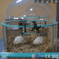 Carica l'immagine nel visualizzatore della galleria, MCSDINO Egg and Puppet Dinosaur Nursery Animated Dinosaur Incubator Prop-BB012
