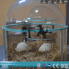 MCSDINO Egg and Puppet Dinosaur Nursery Animated Dinosaur Incubator Prop-BB012