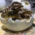 Bild in Galerie-Betrachter laden, MCSDINO Egg and Puppet Dragon Egg Animatronic Hatching Green Baby Dragon-BB047
