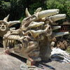 Dragon Skull Dragon Graveyard