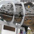 Bild in Galerie-Betrachter laden, MCSDINO Other Dinosaur Series Animatronic Raptor Head In Cage-OTD024
