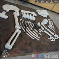 Carica l'immagine nel visualizzatore della galleria, MCSDINO Other Dinosaur Series Dinosaur Lesson Dinosaur Fossil Skeleton Model Excavation-OTD025
