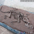 Cargar la imagen en la vista de la galería, MCSDINO Other Dinosaur Series Dinosaur Skeleton Decoration On Wall-OTD013
