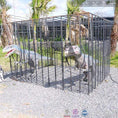 Load image into Gallery viewer, MCSDINO Other Dinosaur Series Dinosaurs Raptors Trapped In The Cage-OTD012
