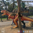 Cargar la imagen en la vista de la galería, MCSDINO Other Dinosaur Series Scientific Tyrannosaurus Rex Anatomy Model-OTD016
