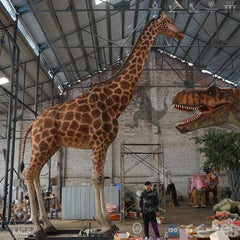 Tallest Giraffe In The World