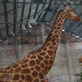 Carica l'immagine nel visualizzatore della galleria, MCSDINO Robotic Animals Biggest Animatronic Giraffe Model-MAG002
