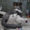 MCSDINO Robotic Animals Giant Cat Animatronics For Museum-MAC006
