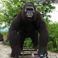 Load image into Gallery viewer, MCSDINO Robotic Animals Lifelike Robotic Gorilla Animatronics Animal
