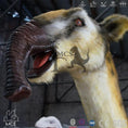 Load image into Gallery viewer, MCSDINO Robotic Beasts Ice Age Models For Sale Animatronic Macrauchenia-AFM001
