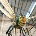 Charger l'image dans la visionneuse de la galerie, MCSDINO Robotic Monsters Carboniferous Meganeura Giant Animatronic Dragonfly-BFM001
