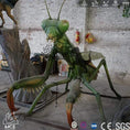 Bild in Galerie-Betrachter laden, MCSDINO Robotic Monsters Giant Animatronic Insects Mantis Model-BFM005
