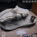Carica l'immagine nel visualizzatore della galleria, MCSDINO Skeleton Fossil Replica Agilisaurus Dinosaur Fossil Replica-SKR025
